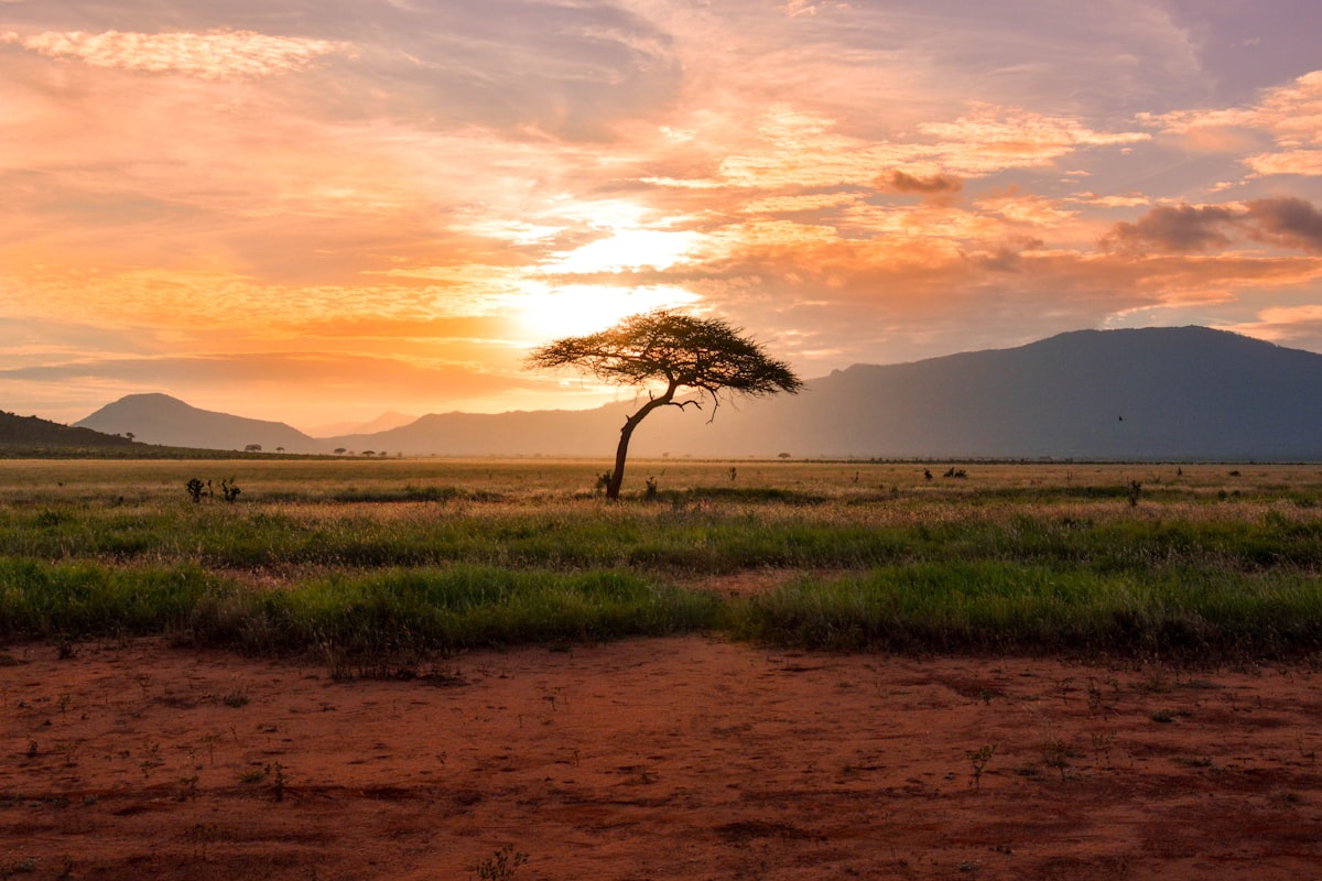 KwaZulu-Natal landscape at sunset